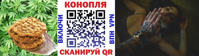 Canna-Cookies марихуана  Николаевск-на-Амуре 