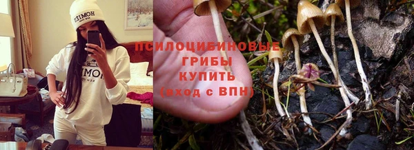 сатива Алексеевка