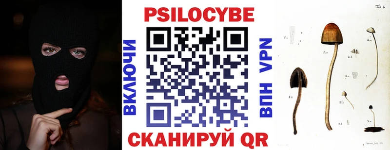 Псилоцибиновые грибы Psilocybine cubensis где найти наркотики МЕГА tor Николаевск-на-Амуре
